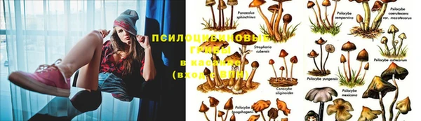 герыч Алексин