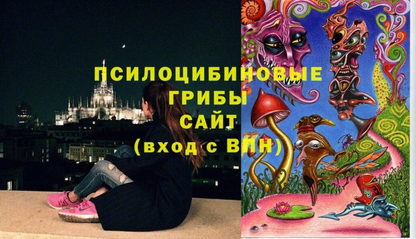 амф Алексеевка