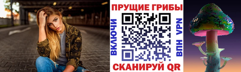 где найти   блэк спрут ссылка  Псилоцибиновые грибы Magic Shrooms  площадка официальный сайт  Темников 